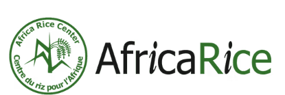AfricaRice